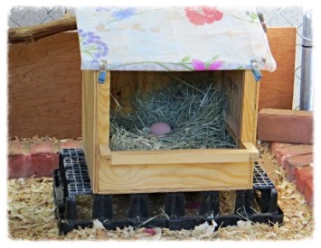 Nest Box