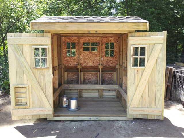 Coop Exterior Doors Open