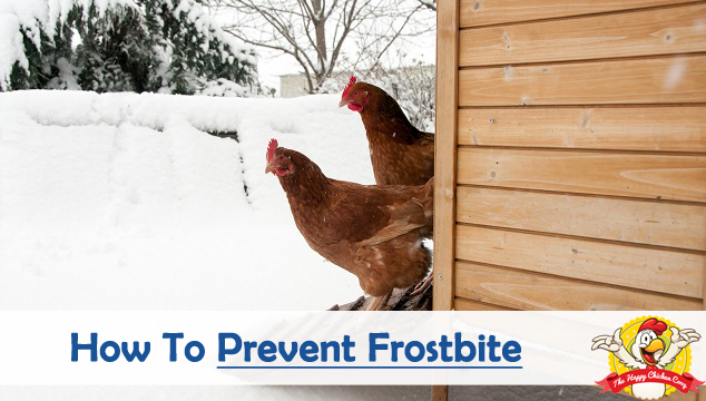 How-To-Prevent-Frostbite-During-Winter-Blog-Cover