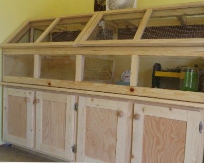 Brooder Examples 100+ Brooder Ideas for Baby Chicks – TBN Ranch Chicken Keeping Resources